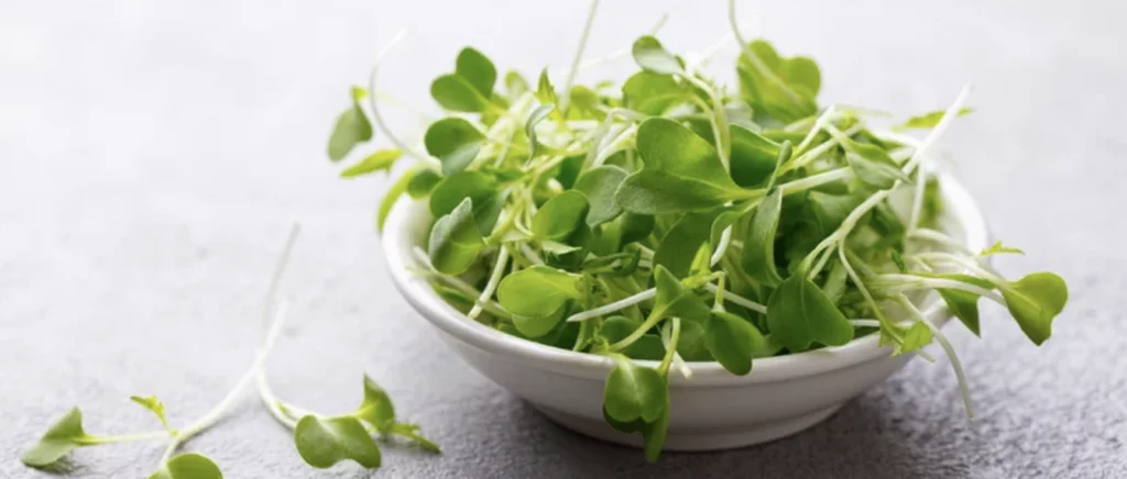 Cress